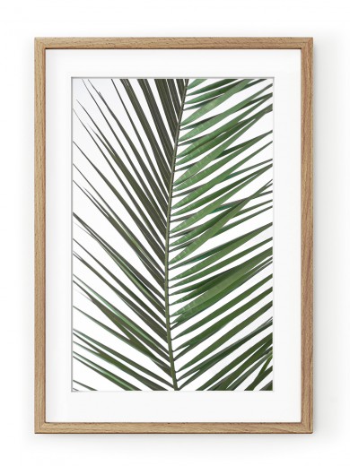 Tablou Palm Leaf Oak