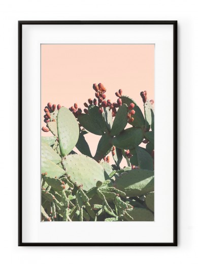 Tablou Californian Cactus Aluminium Noir