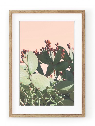 Tablou Californian Cactus Oak