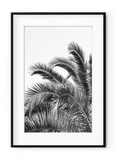 Tablou Palm Leaves Black & White Aluminium Noir