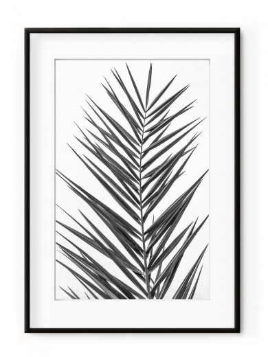 Tablou Palm Leaf Black & White Aluminium Noir