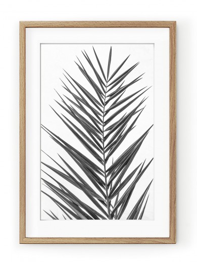 Tablou Palm Leaf Black & White Oak