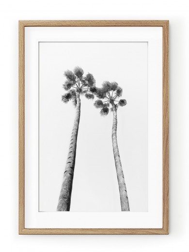 Tablou Black & White Palm Trees Oak II