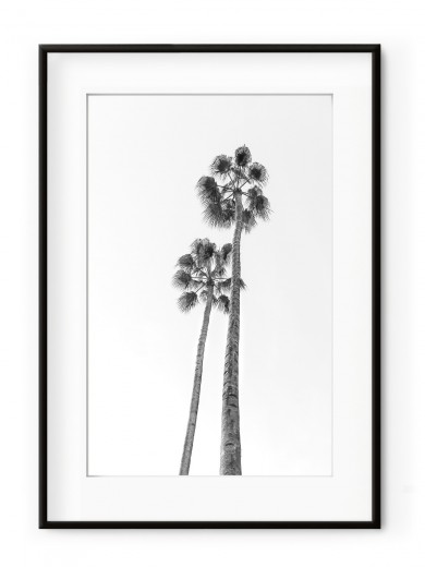 Tablou Black & White Palm Trees Aluminium Noir