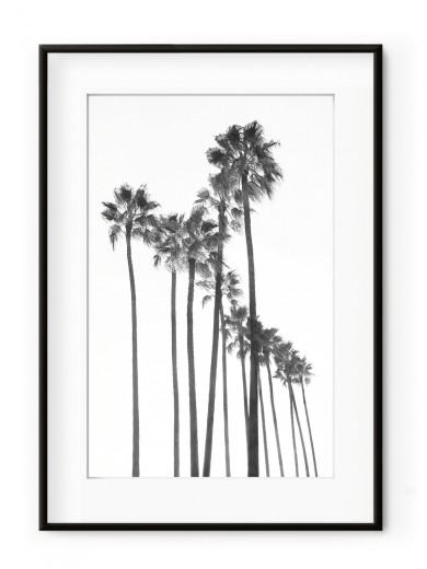 Tablou Black Palm Trees Aluminium Noir