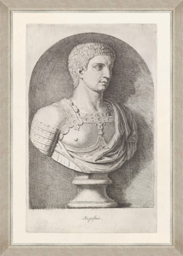 Tablou Framed Art Augustus 