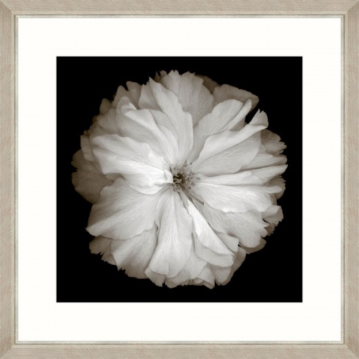 Tablou Framed Art Cherry Blossom 
