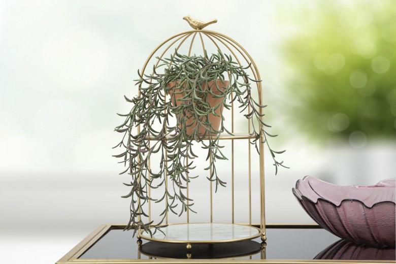 Colivie decorativa, din metal si sticla, Cage Multicolor / Auriu, Ø23xH40,5 cm