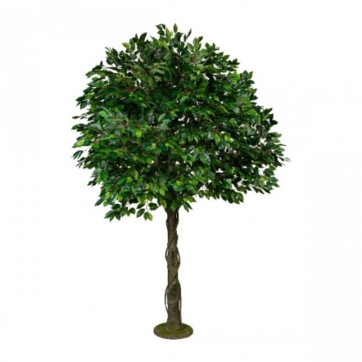 Copac artificial Ficus Benjami Verde, H220 cm