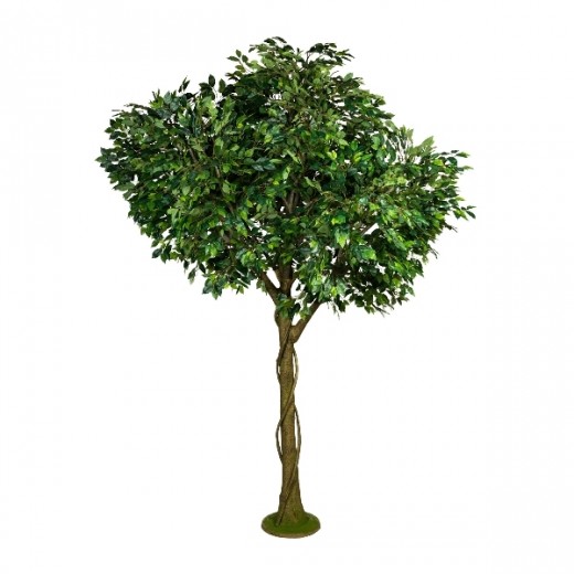 Copac artificial Ficus Benjami Verde, H300 cm