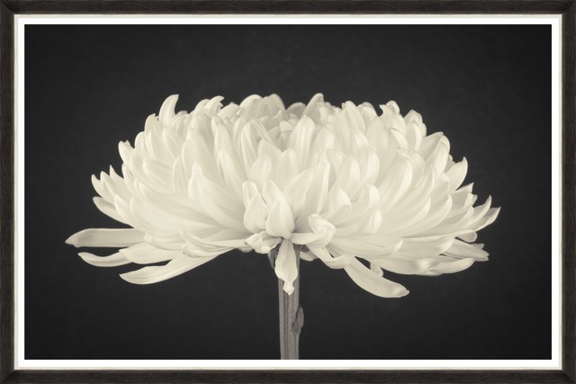 Tablou Framed Art Dahlia Blossom