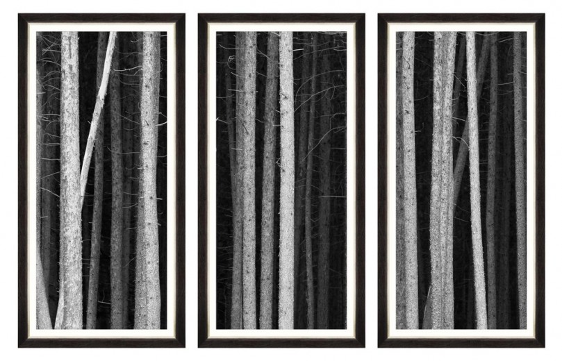 Tablou 3 piese Framed Art Dark Mood  