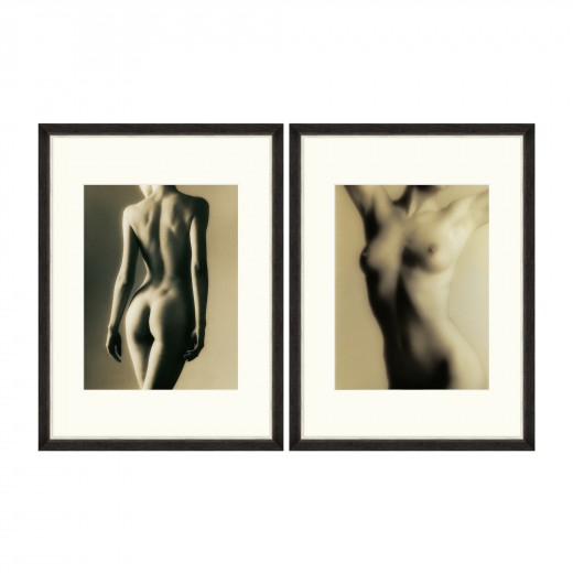 Tablou 2 piese Framed Art Female Body