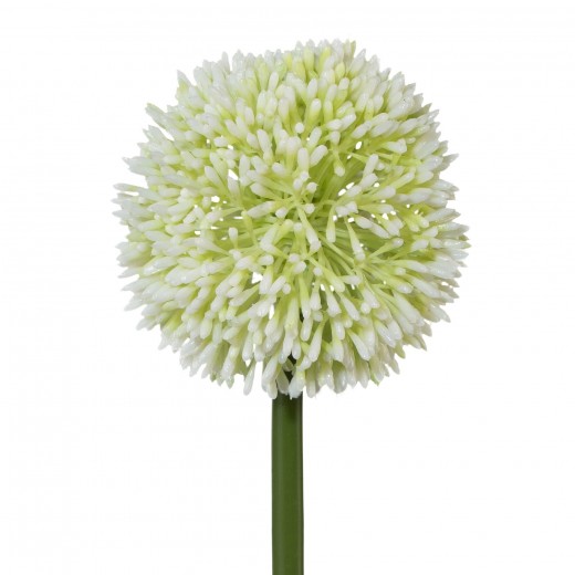 Fir floare artificiala, Allium Alb, H64 cm
