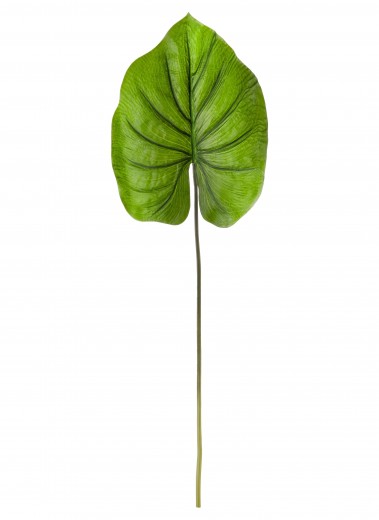 Frunza decorativa artificiala Diamond Leaf Verde, H30 cm