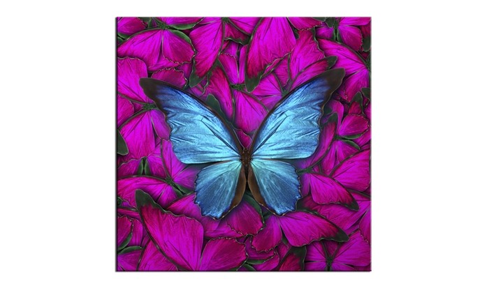 Tablou Sticla Glasspik Butterfly, 20x20 cm