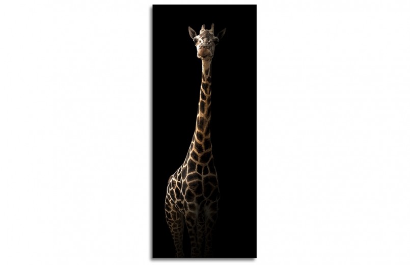 Tablou Sticla Glasspik Giraffe, 50x125 cm