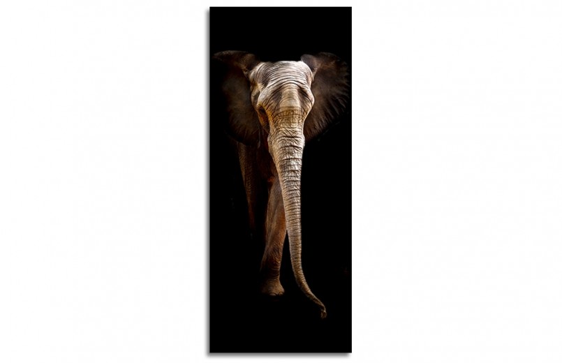 Tablou Sticla Glasspik Elephant II, 50x125 cm