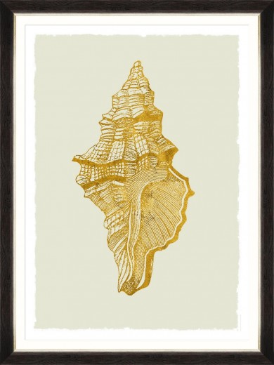 Tablou Framed Art Golden Seashell I 