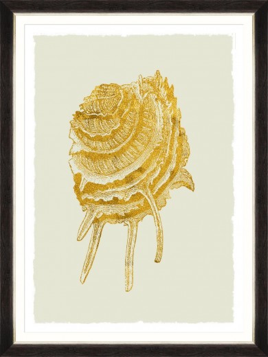 Tablou Framed Art Golden Seashell V