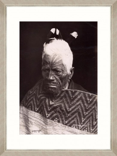 Tablou Framed Art Maori Chief Teroror 