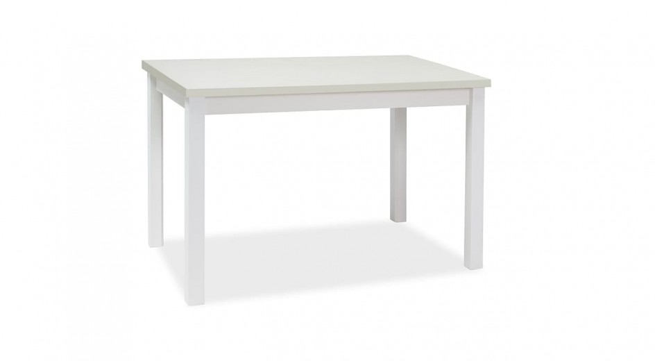 Masa din pal si MDF, Adamaris Medium Alb, L100xl60xH75 cm