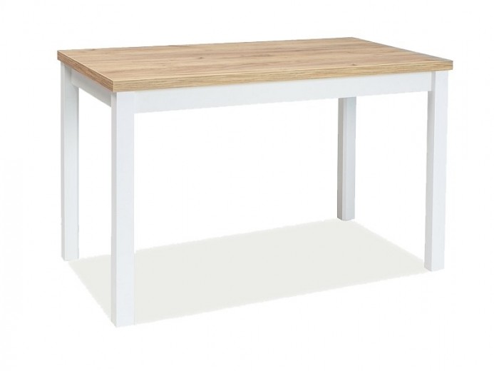 Masa din pal si MDF, Adamaris Stejar Auriu / Alb, L100xl60xH75 cm