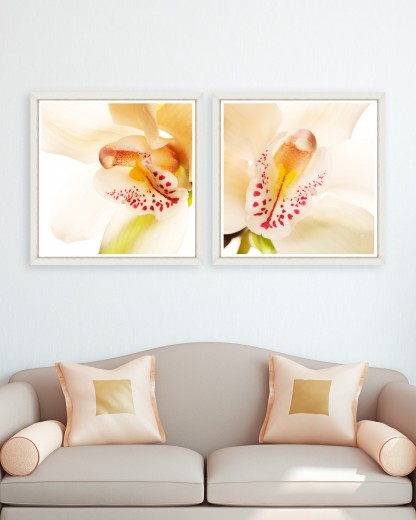 Tablou 2 piese Framed Art Orchid Close-up