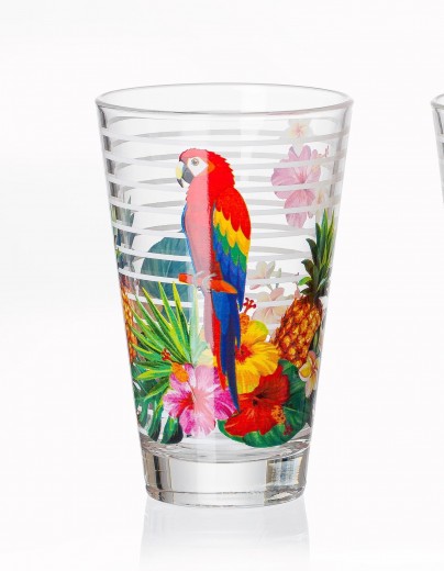 Set pahare Long Drink Jungle, Parrot, 310 ml, 6 piese