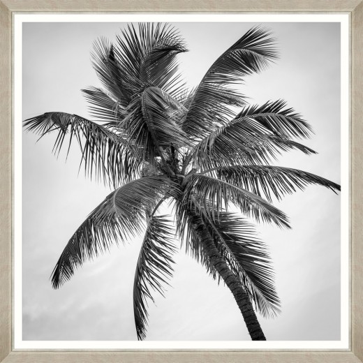 Tablou Framed Art Palm Splendor I 