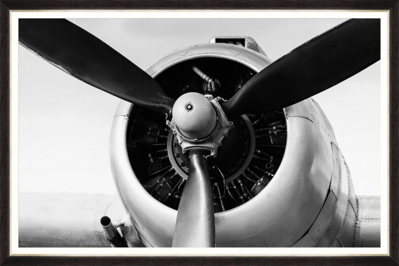 Tablou Framed Art Propeller Head 