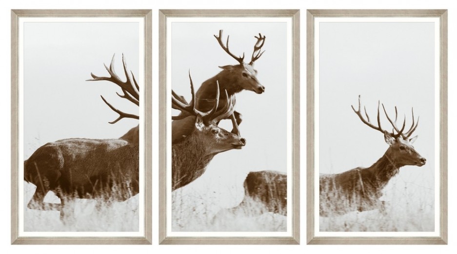 Tablou 3 piese Framed Art Running Wild 