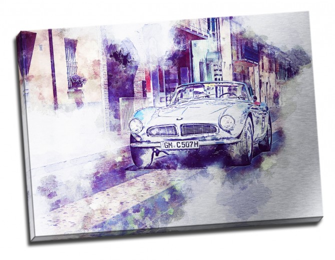 Tablou din aluminiu striat Care for a Ride?