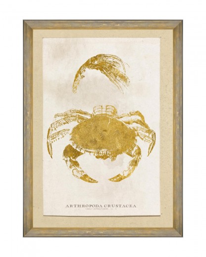 Tablou Framed Art Caribbean Sea Life - Arthropoda Crustacea, 50 x 70 cm