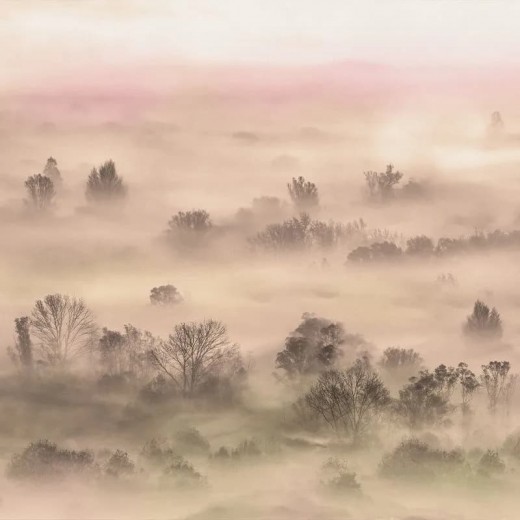 Tapet Foggy Landscape Peach Smooth VLAdiLA