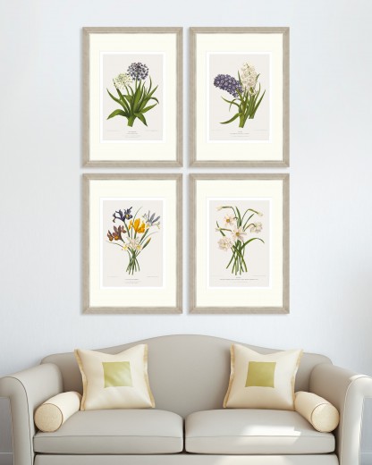Tablou 4 piese Framed Art Vintage Flower Plates
