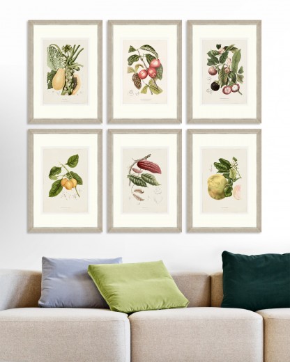 Tablou 6 piese Framed Art Vintage Fruit Plates