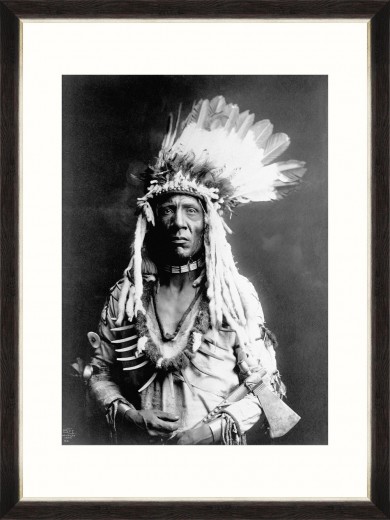 Tablou Framed Art Weasel Tail By Curtis