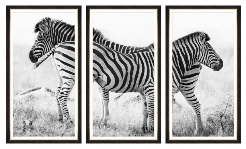 Tablou 3 piese Framed Art Zebra Pair 