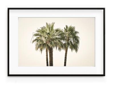 Tablou Palmiers Aluminium Noir