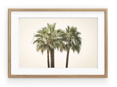 Tablou Palmiers Oak