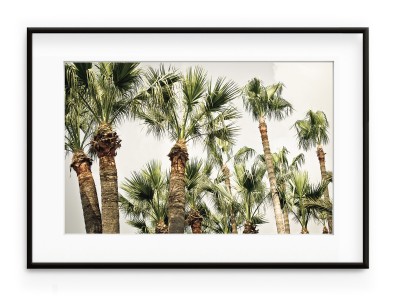 Tablou Palmiers II Aluminium Noir