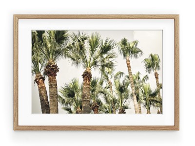 Tablou Palmiers II Oak