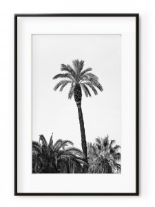 Tablou Grands Palmiers III Aluminium Noir