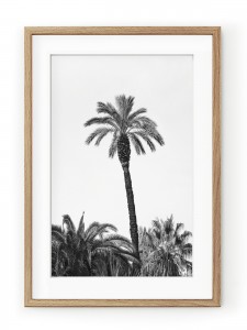 Tablou Grands Palmiers III Oak