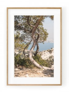 Tablou Route de Crêtes Oak