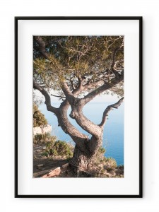 Tablou Route de Crêtes II Aluminium Noir