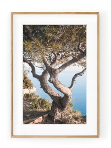 Tablou Route de Crêtes II Oak