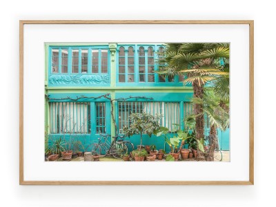 Tablou La Maison aux Éléphants Paris Oak