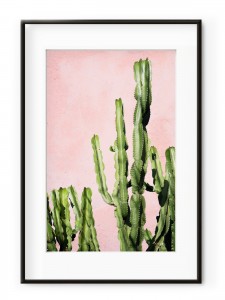 Tablou Plants on Pink Cactus Aluminium Noir